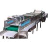 Fruit Washer