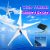 5000W Wind Generator 12V/24V 5 Wind Blades Wind-power Electricity Generator With Controller Wind Turbine Blade